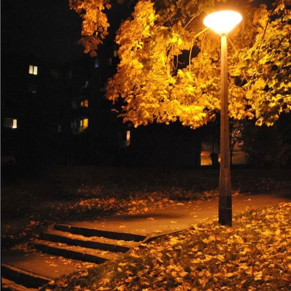 Meet your Posher, Cylie - Picture 1 of 1